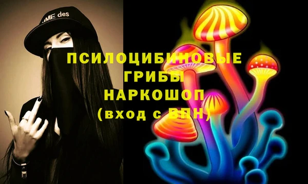 спайс Елабуга