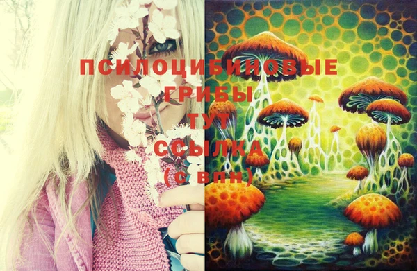 мескалин Баксан