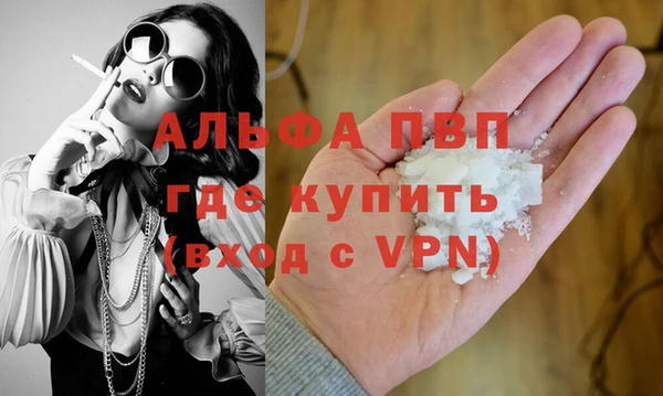 шишки Беломорск